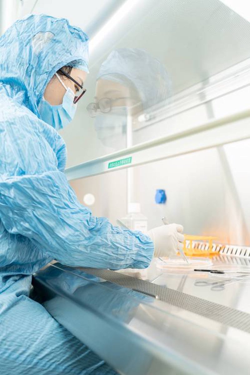 干细胞治疗：从科学认知到临床应用