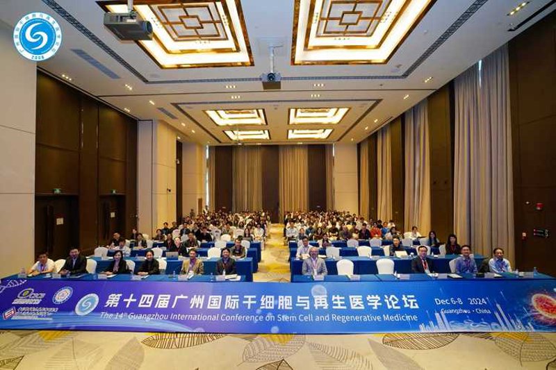 间充质干细胞：再生医学的未来探索